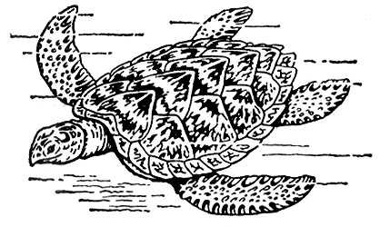 Большая Советская Энциклопедия (БИ) i010-001-280342399.jpg