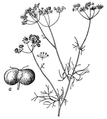 Большая Советская Энциклопедия (БИ) i009-001-235345213.jpg