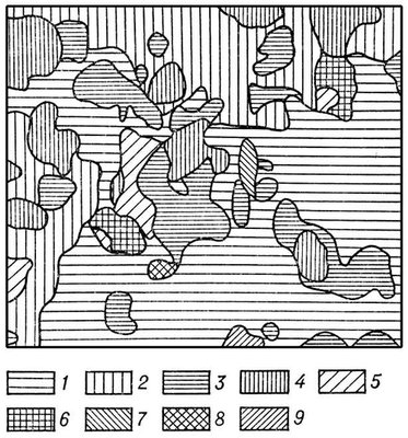 Большая Советская Энциклопедия (БИ) i009-001-212117513.jpg