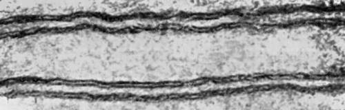 Большая Советская Энциклопедия (БИ) i010-001-276848968.jpg