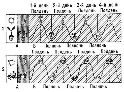 Большая Советская Энциклопедия (БИ) i008-pictures-001-293866854.jpg