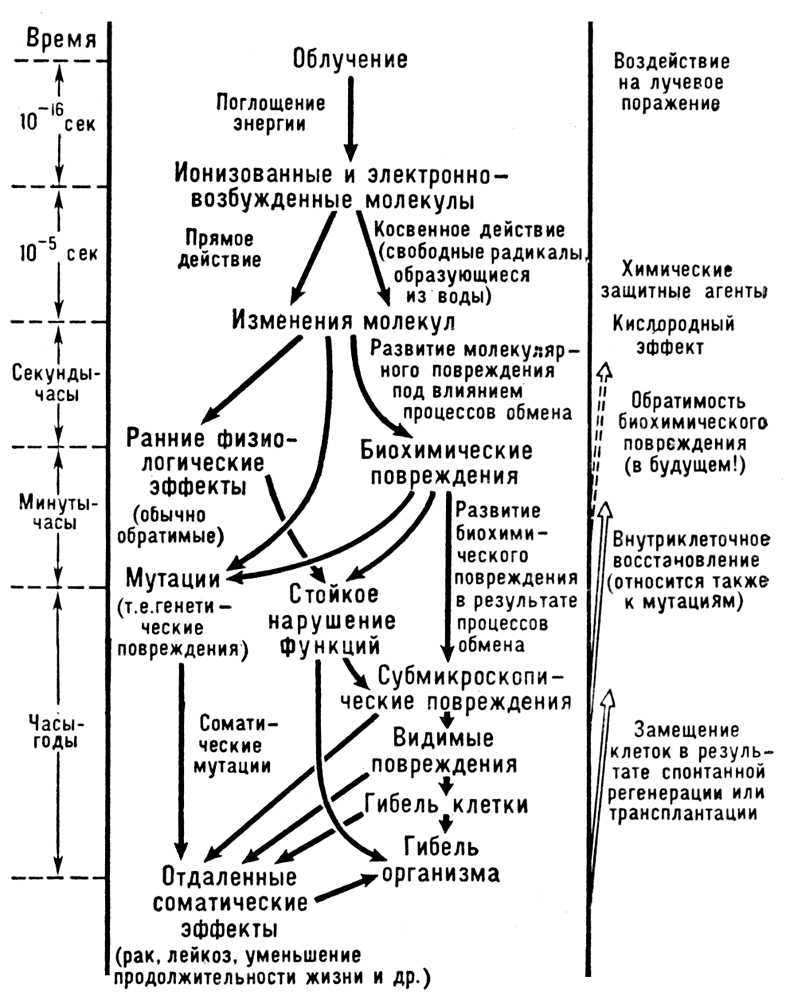 Большая Советская Энциклопедия (БИ) i010-001-271830173.jpg