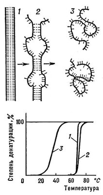 Большая Советская Энциклопедия (БИ) i009-001-229597293.jpg