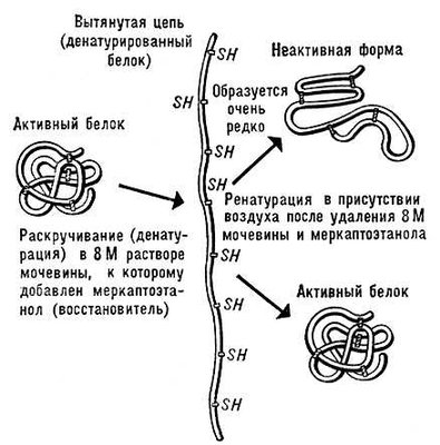 Большая Советская Энциклопедия (БИ) i010-001-264486188.jpg