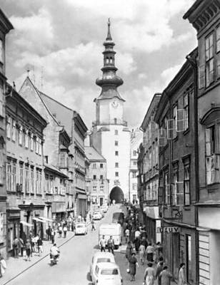 Большая Советская Энциклопедия (БР) i008-pictures-001-297721792.jpg