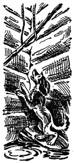 Тёма и Жучка i_002.png