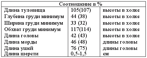 Атлас пород собак i_062.png