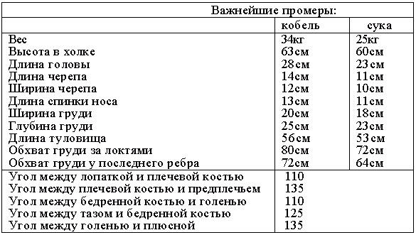 Атлас пород собак i_066.png