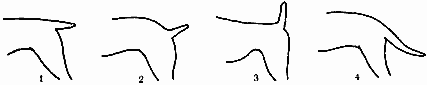 Атлас пород собак i_017.png