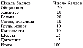 Атлас пород собак i_127.png