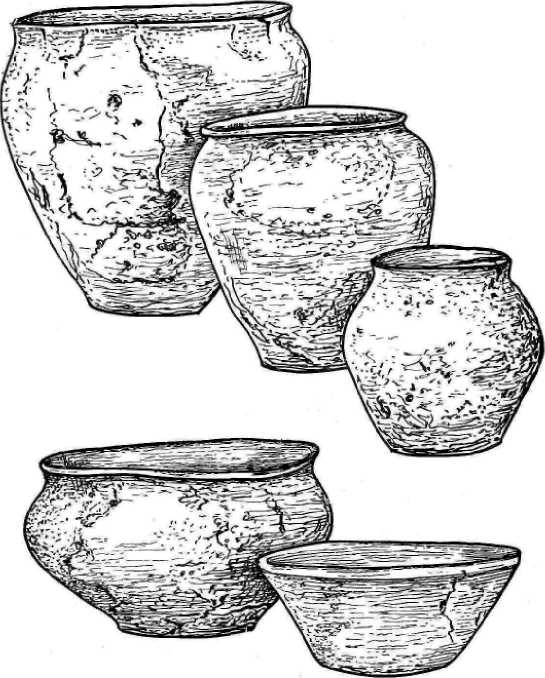Происхождение и ранняя история славян i_039.jpg