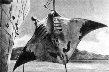 Планета чудес i_093.jpg