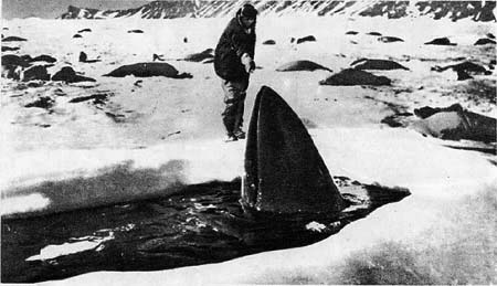 Планета чудес i_100.jpg