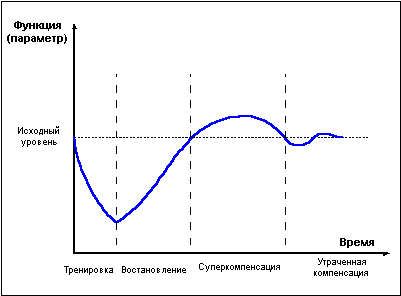 Думай! Или 'Супертренинг' без заблуждений any2fbimgloader5.png