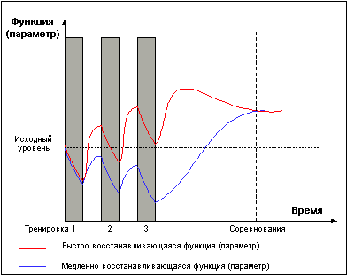 Думай! Или 'Супертренинг' без заблуждений any2fbimgloader10.png