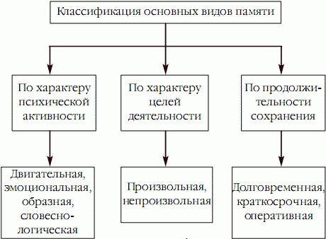 Suреrпамять. Интенсив-тренинг для развития памяти _03.png