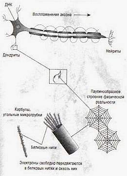 Параллельные жизни и колебания квантового поля _14.jpg