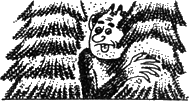 Топало _61.png
