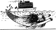 Топало _8.png