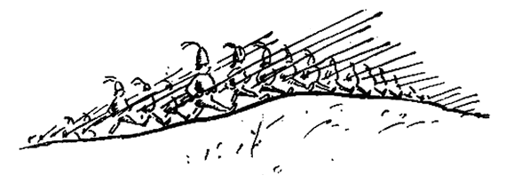 Необыкновенная история о чудесной свирели и зеленом петушке i_033.png