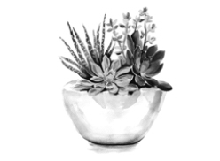 C:\Users\User\Desktop\ПИ\Разделитель.jpg