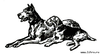 Мои друзья doc2fb_image_0300000a.jpg