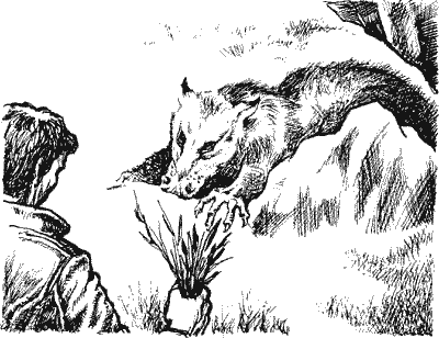 В дебрях времени. Палеонтологическая фантазия i_023.png