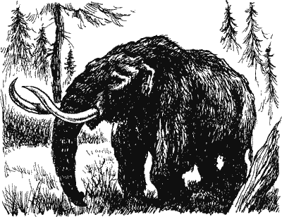 В дебрях времени. Палеонтологическая фантазия i_028.png
