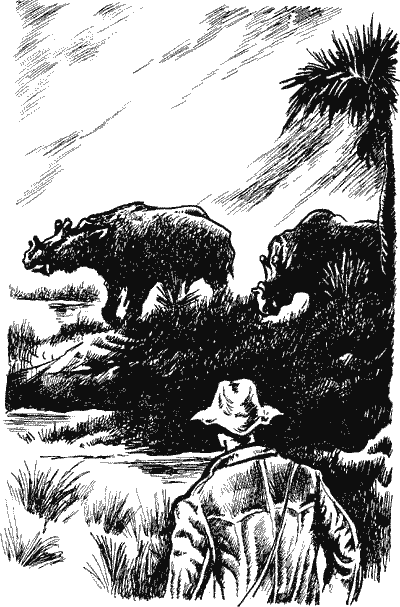 В дебрях времени. Палеонтологическая фантазия i_030.png
