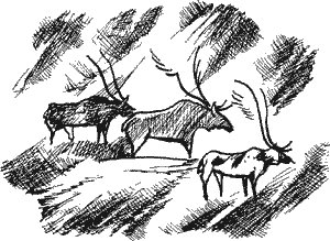 В дебрях времени. Палеонтологическая фантазия i_046.png