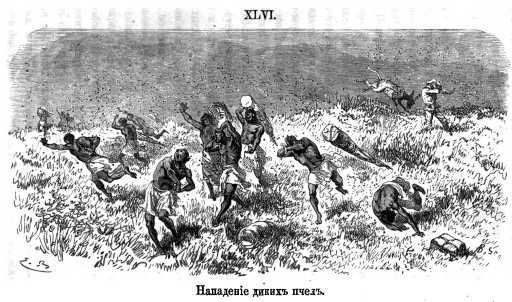 Как я отыскал Ливингстона p636_xlvi.jpg