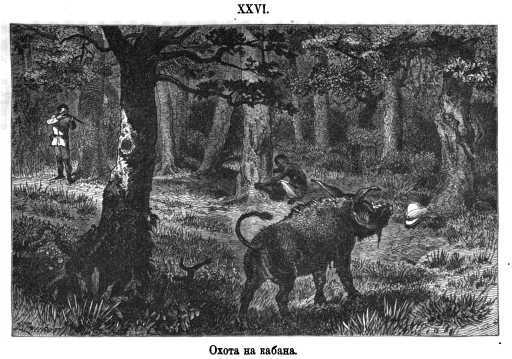 Как я отыскал Ливингстона p368_xxvi.jpg