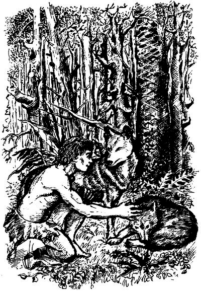 Властелин Темного Леса (сборник) i_010.png