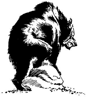 Властелин Темного Леса (сборник) i_011.png