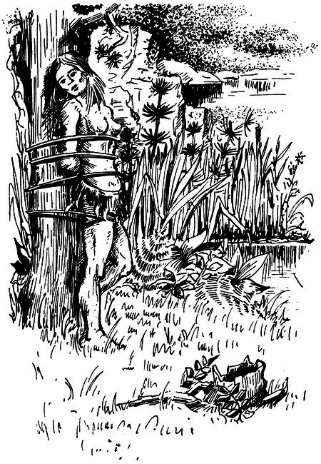 Властелин Темного Леса (сборник) i_015.png