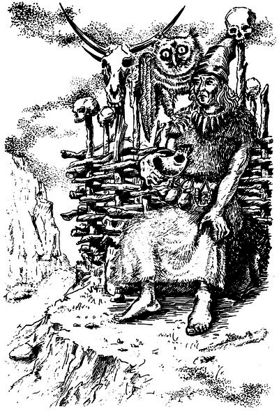 Властелин Темного Леса (сборник) i_025.png