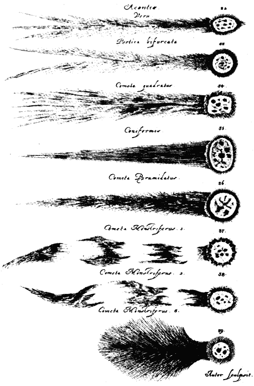 Другая история науки. От Аристотеля до Ньютона i_099.png