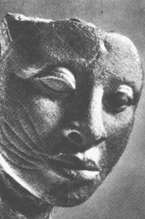 Другая история науки. От Аристотеля до Ньютона i_015.jpg