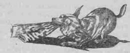 Нена i_006.jpg