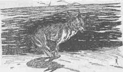 Нена i_016.jpg