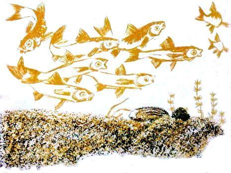 Потеха - не утеха (сборник) (с илл.) pic_10.jpg
