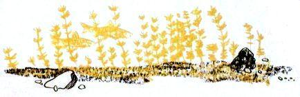 Потеха - не утеха (сборник) (с илл.) pic_6.jpg