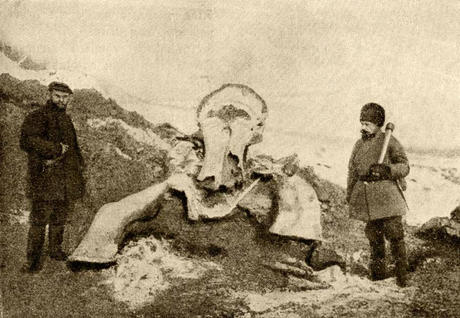 Герои и мученики науки i_066.jpg
