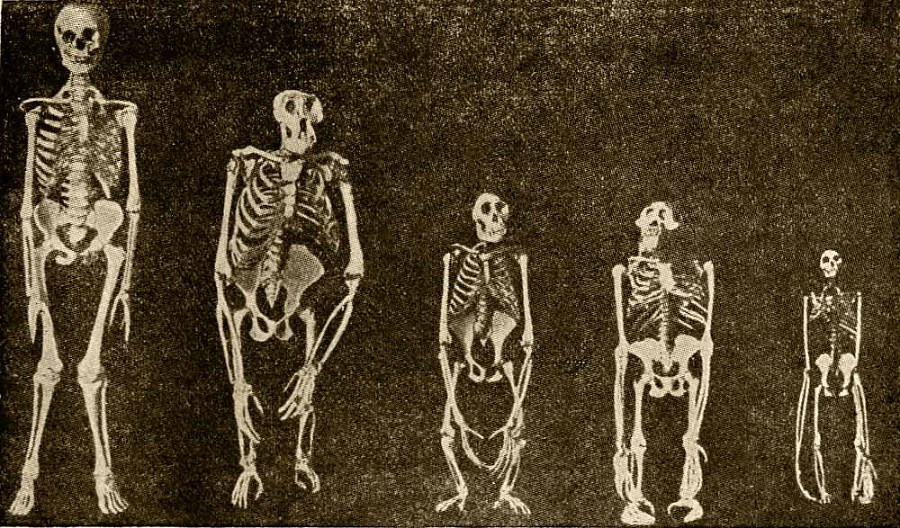 Герои и мученики науки i_073.jpg