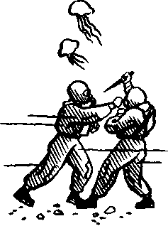 Рыба-одеяло img_14.png