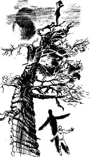 Сон в летний день i_004.png