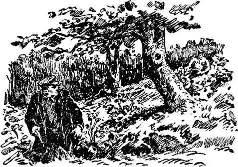 По следу (сборник) (с илл.) i_003.jpg