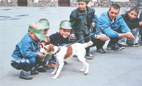 Лечебная кинология. Теоретические подходы и практическая реализация (с илл.) pic_25.jpg