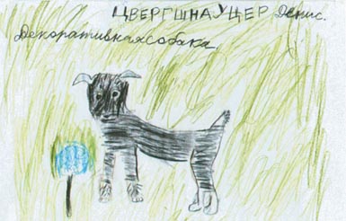Лечебная кинология. Теоретические подходы и практическая реализация (с илл.) pic_50.jpg