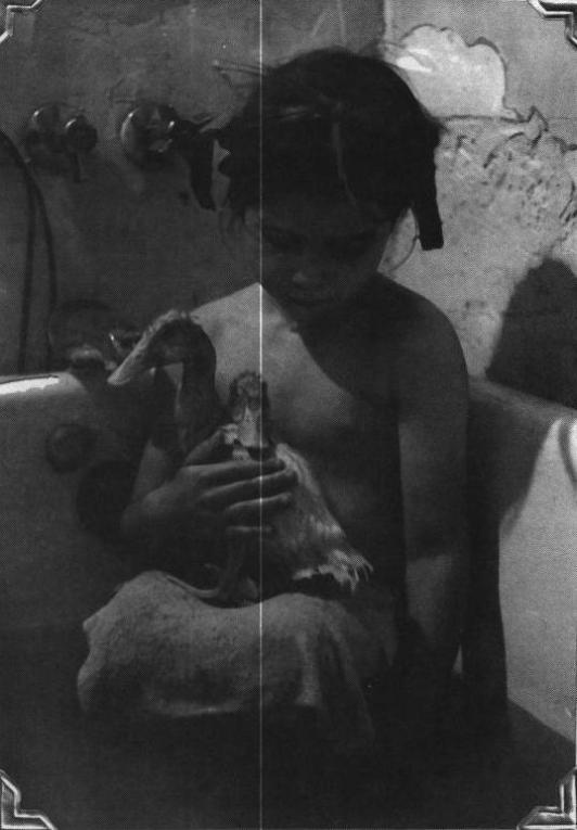Wild Child: Girlhoods in the Counterculture pic_7.jpg